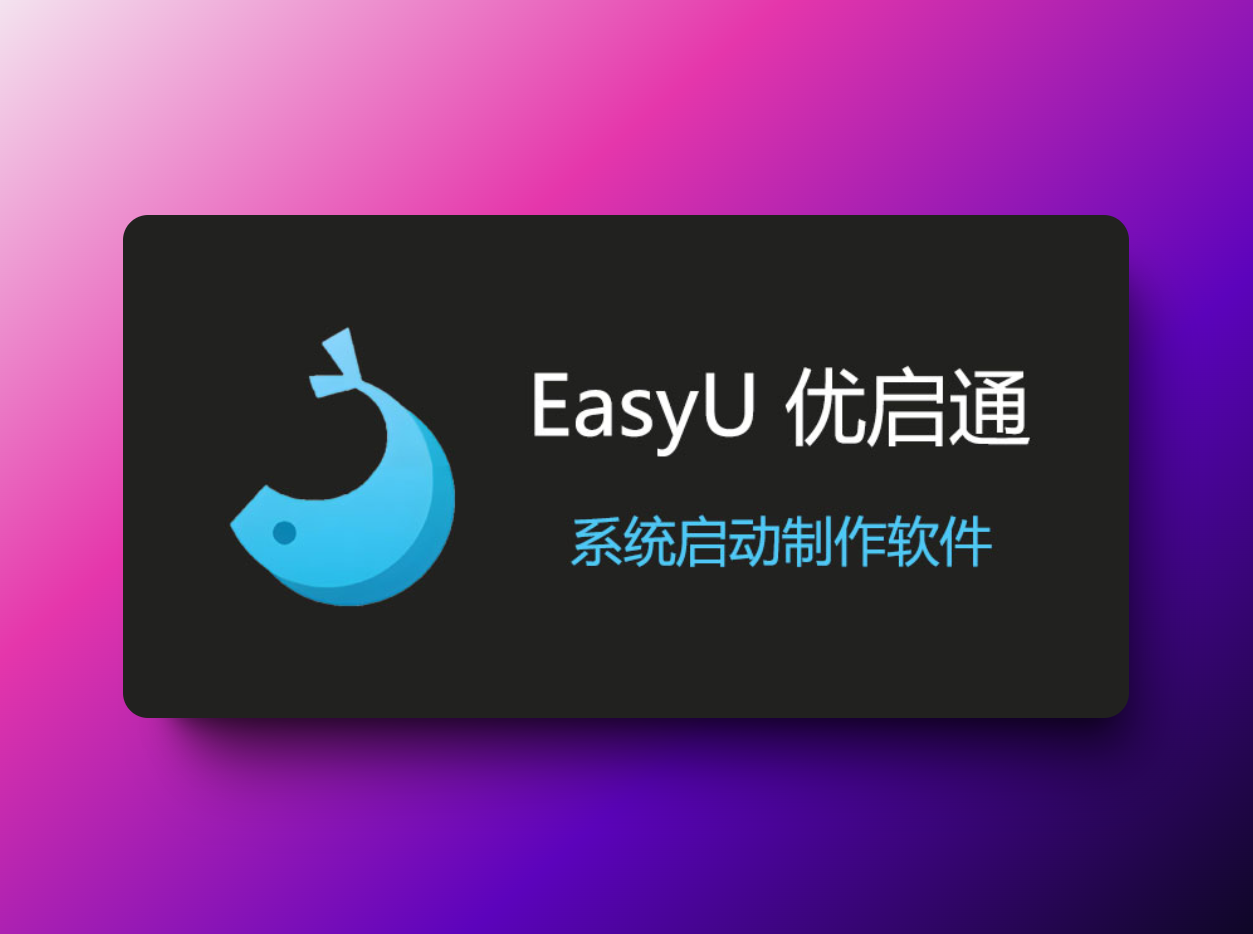 EasyU(优启通) v3.7.2024.1128 VIP版-韵味资源网